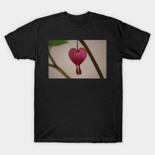 Nature’s Hearts T-Shirt